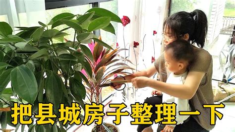 房子久沒人住淨化